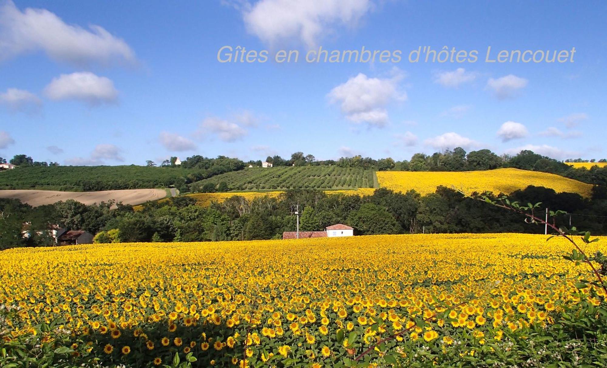 Chambre D'Hotes Lencouet Bed & Breakfast Feugarolles Exterior photo